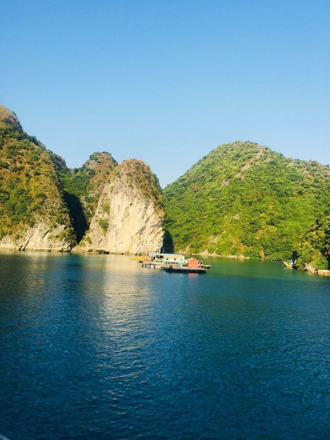 Flamingo Luxury Cruises 호텔 하롱 외부 사진